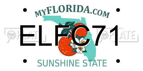 ELFC71 Florida License Plate