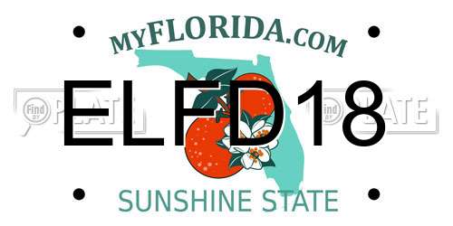 ELFD18 Florida License Plate
