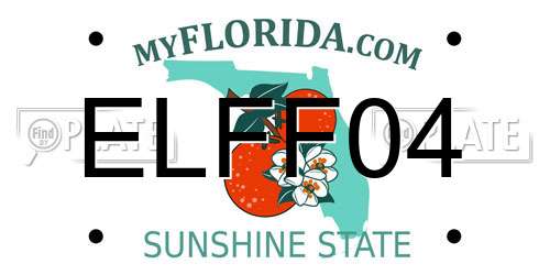 ELFF04 Florida License Plate