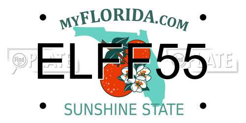 ELFF55 Florida License Plate