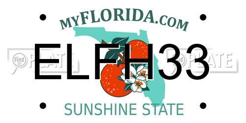 ELFH33 Florida License Plate