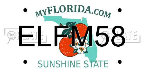 ELFM58 Florida License Plate