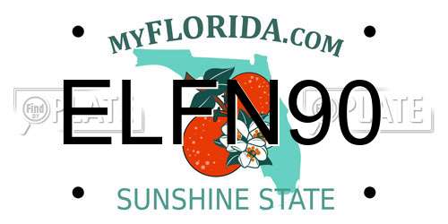 ELFN90 Florida License Plate