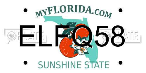 ELFQ58 Florida License Plate