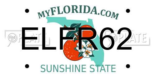 ELFR62 Florida License Plate