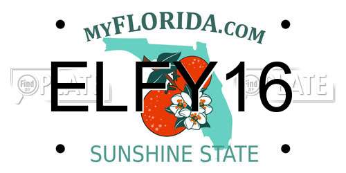 ELFY16 Florida License Plate