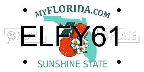 ELFY61 Florida License Plate