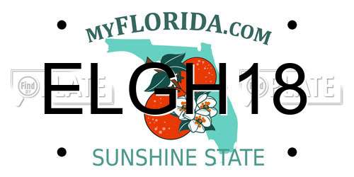 ELGH18 Florida License Plate