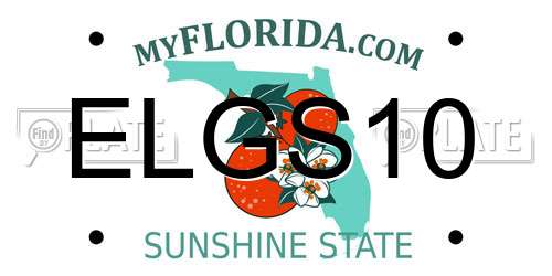 ELGS10 Florida License Plate