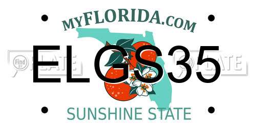 ELGS35 Florida License Plate