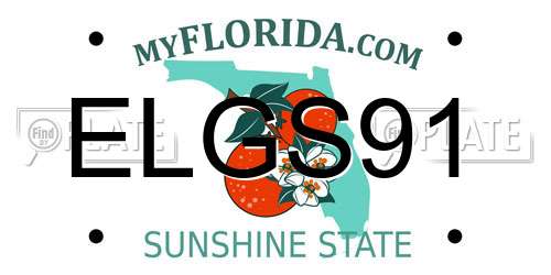 ELGS91 Florida License Plate