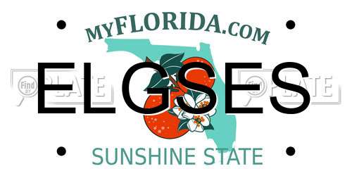 ELGSES Florida License Plate