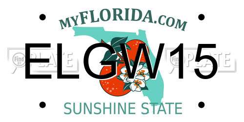 ELGW15 Florida License Plate