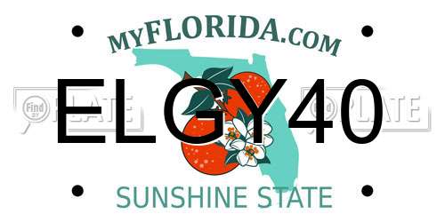 ELGY40 Florida License Plate