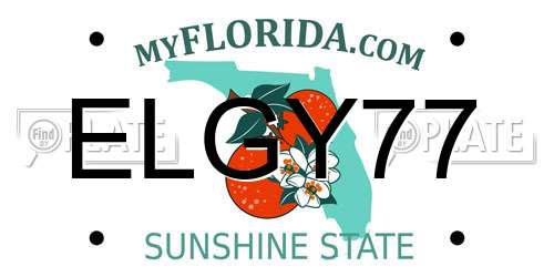 ELGY77 Florida License Plate