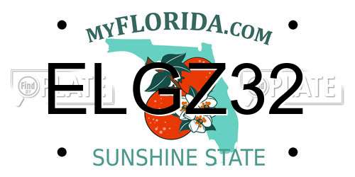 ELGZ32 Florida License Plate