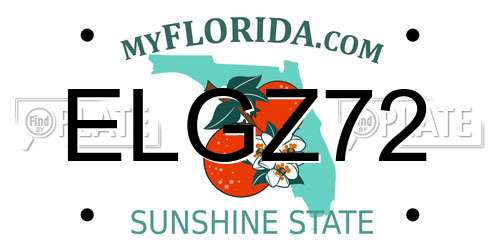 ELGZ72 Florida License Plate