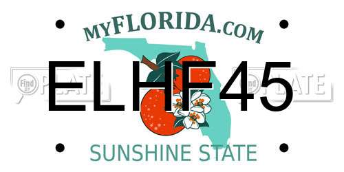 ELHF45 Florida License Plate