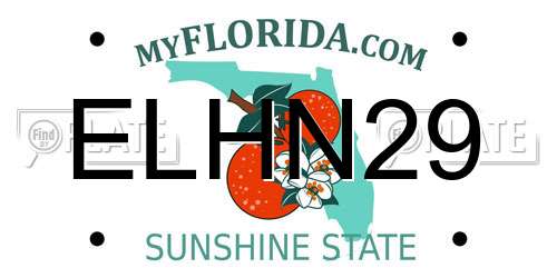 ELHN29 Florida License Plate