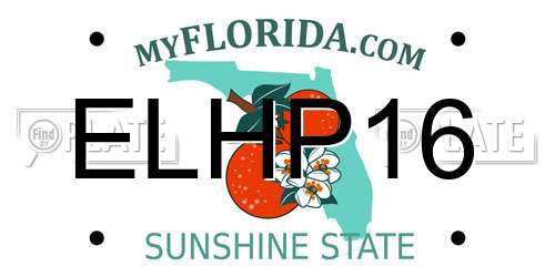 ELHP16 Florida License Plate