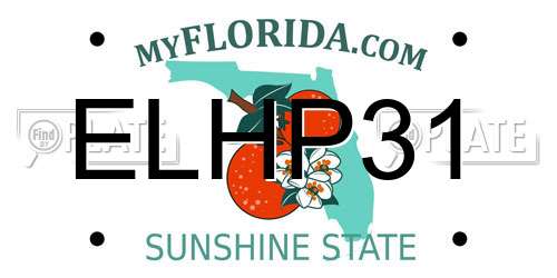 ELHP31 Florida License Plate