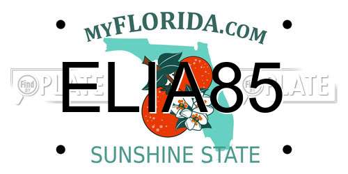 ELIA85 Florida License Plate