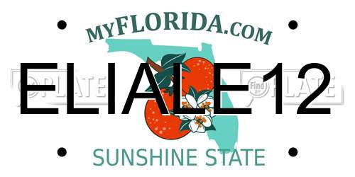 ELIALE12 Florida License Plate