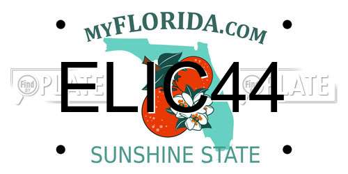 ELIC44 Florida License Plate