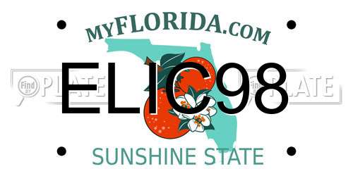ELIC98 Florida License Plate