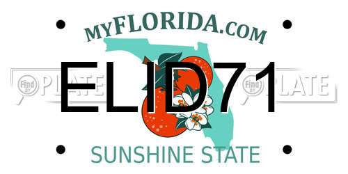 ELID71 Florida License Plate