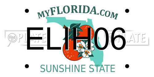 ELIH06 Florida License Plate