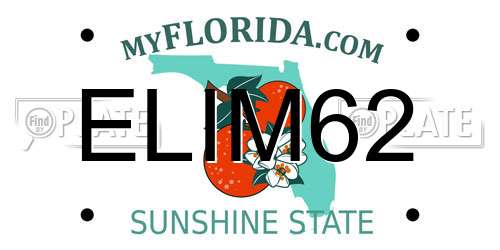 ELIM62 Florida License Plate