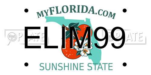 ELIM99 Florida License Plate