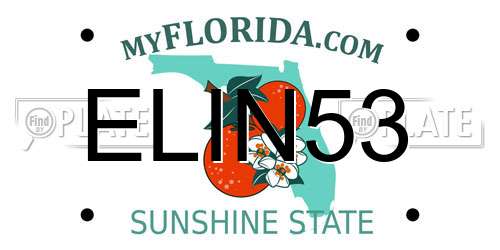 ELIN53 Florida License Plate