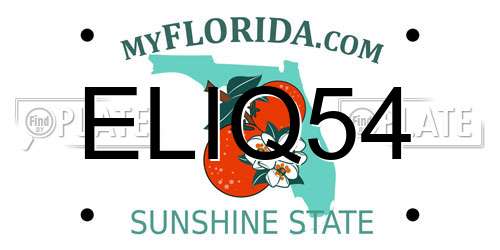 ELIQ54 Florida License Plate