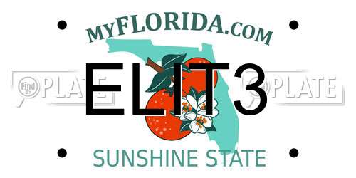 ELIT3 Florida License Plate