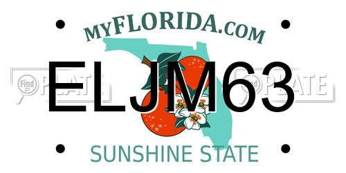 ELJM63 Florida License Plate