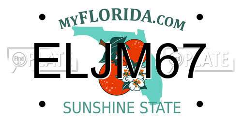 ELJM67 Florida License Plate