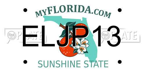 ELJP13 Florida License Plate