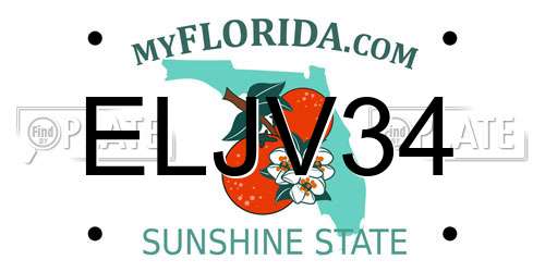 ELJV34 Florida License Plate