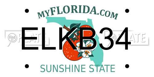 ELKB34 Florida License Plate