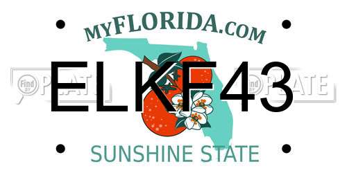 ELKF43 Florida License Plate