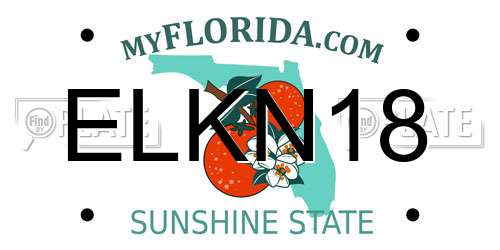 ELKN18 Florida License Plate