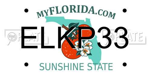 ELKP33 Florida License Plate