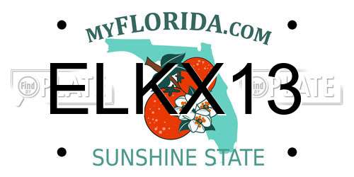 ELKX13 Florida License Plate