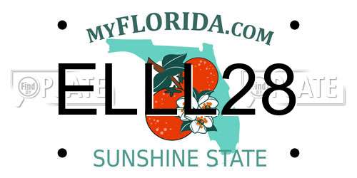 ELLL28 Florida License Plate