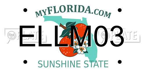 ELLM03 Florida License Plate