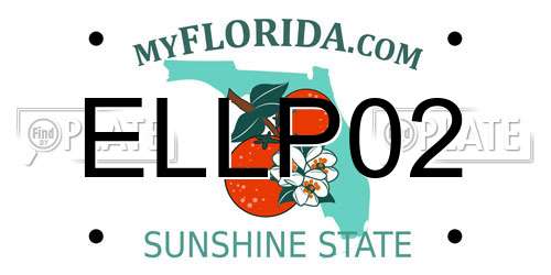 ELLP02 Florida License Plate