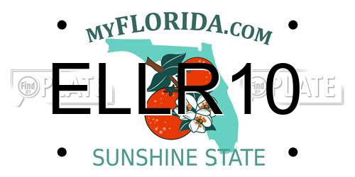 ELLR10 Florida License Plate