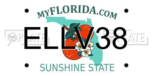 ELLV38 Florida License Plate